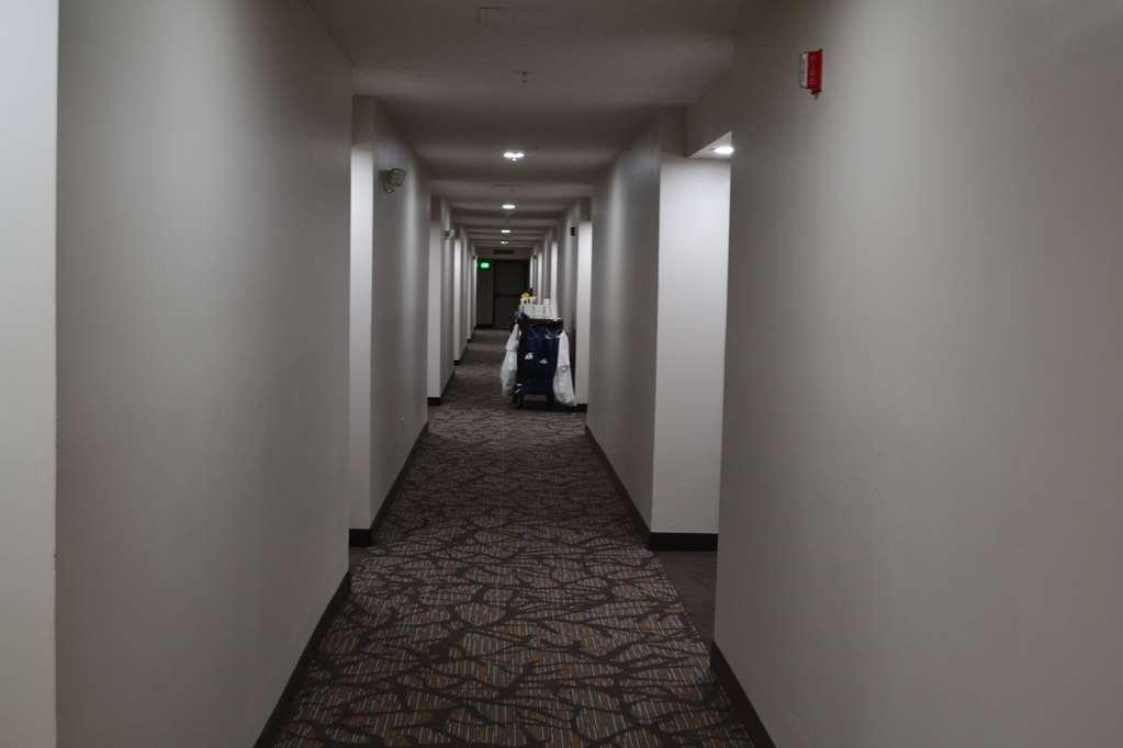 Wingate By Wyndham Bel Air I-95 Exit 77A - Apg Area Hotel Edgewood Beltér fotó